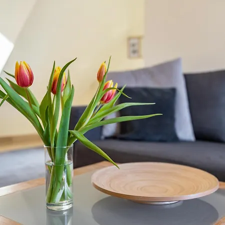 Ferienwohnung F Bolanz 1 Auggen